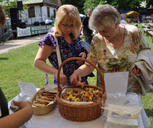 Odpust na św. Antoniego Odpust na św. Antoniego