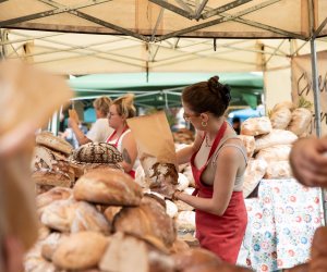 XXI Podlaskie Święto Chleba - fotorelacja XXI Podlaskie Święto Chleba - fotorelacja