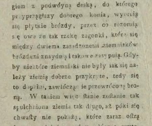 Niecodziennik muzealny - Uprawa ziemniaków w Polsce w XVIII i pierwszych dekadach XIX wieku. Niecodziennik muzealny - Uprawa ziemniaków w Polsce w XVIII i pierwszych dekadach XIX wieku.
