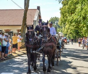 XV Podlaskie Święta Chleba w Muzeum Rolnictwa im. ks. Krzysztofa Kluka w Ciechanowcu XV Podlaskie Święta Chleba w Muzeum Rolnictwa im. ks. Krzysztofa Kluka w Ciechanowcu