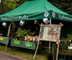 Jarmark św. Wojciecha i Święto Lasu
