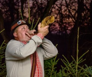 Galeria z 5 grudnia 2015 Galeria z 5 grudnia 2015