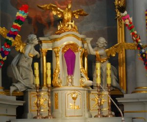 Galeria - Niedziela Palmowa 2009 Galeria - Niedziela Palmowa 2009