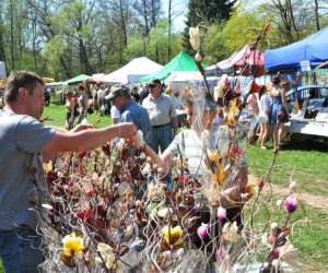 XIV Jarmark Św. Wojciecha i Festyn Leśny