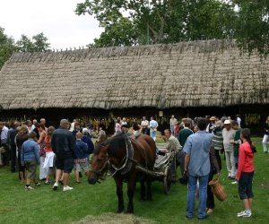 VIII PODLASKIE ŚWIĘTO CHLEBA VIII PODLASKIE ŚWIĘTO CHLEBA