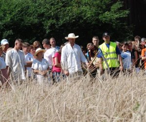 IX Podlaskie Święto Chleba IX Podlaskie Święto Chleba