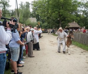 XVII Podlaskie Święto Chleba - fotorelacja XVII Podlaskie Święto Chleba - fotorelacja