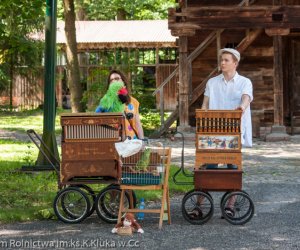 Odpust na św. Antoniego 2016 Odpust na św. Antoniego 2016