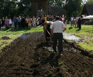 Wykopki w skansenie 2009