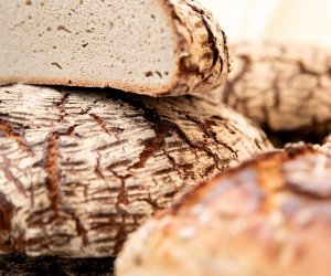 XXI Podlaskie Święto Chleba - fotorelacja XXI Podlaskie Święto Chleba - fotorelacja