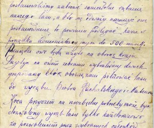 Codziennik Muzealny - Lasy - dobro wspólne. Refleksja niecodzienna ... Codziennik Muzealny - Lasy - dobro wspólne. Refleksja niecodzienna ...