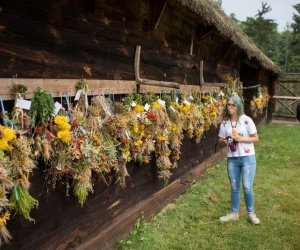 XVII Podlaskie Święto Chleba - fotorelacja XVII Podlaskie Święto Chleba - fotorelacja