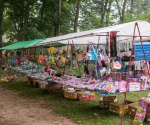 JESIEŃ W POLU I ZAGRODZIE JESIEŃ W POLU I ZAGRODZIE