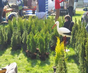 JARMARK ŚWIĘTEGO WOJCIECHA W MUZEUM ROLNICTWA W CIECHANOWCU JARMARK ŚWIĘTEGO WOJCIECHA W MUZEUM ROLNICTWA W CIECHANOWCU