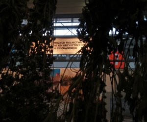 Narodowa Wystawa Rolnicza w Poznaniu Narodowa Wystawa Rolnicza w Poznaniu