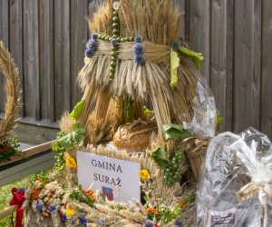 XX Podlaskie Święto Chleba - fotorelacja XX Podlaskie Święto Chleba - fotorelacja