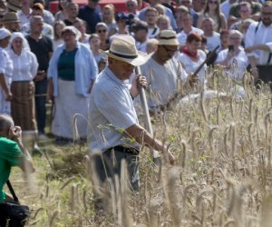 XX Podlaskie Święto Chleba - fotorelacja XX Podlaskie Święto Chleba - fotorelacja