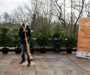 Galeria z 5 grudnia 2015 Galeria z 5 grudnia 2015