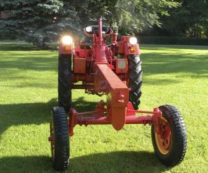 Wyglądają przepięknie Wyglądają przepięknie