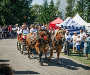 XV Podlaskie Święta Chleba w Muzeum Rolnictwa im. ks. Krzysztofa Kluka w Ciechanowcu XV Podlaskie Święta Chleba w Muzeum Rolnictwa im. ks. Krzysztofa Kluka w Ciechanowcu