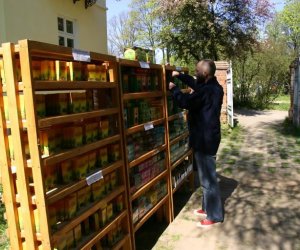 Galeria - 2007 Galeria - 2007