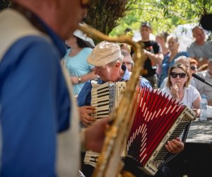 XIX Podlaskie Święto Chleba - fotorelacja XIX Podlaskie Święto Chleba - fotorelacja