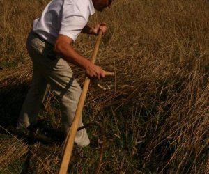 IX Podlaskie Święto Chleba IX Podlaskie Święto Chleba