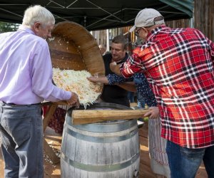 Jesień w polu i zagrodzie - fotorelacja - 15 września 2024