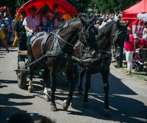 XV Podlaskie Święta Chleba w Muzeum Rolnictwa im. ks. Krzysztofa Kluka w Ciechanowcu XV Podlaskie Święta Chleba w Muzeum Rolnictwa im. ks. Krzysztofa Kluka w Ciechanowcu