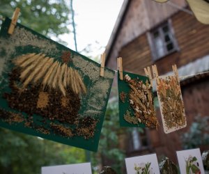 Impreza plenerowa - Jesień w Polu i Zagrodzie Impreza plenerowa - Jesień w Polu i Zagrodzie