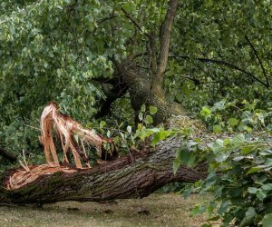 Nawałnica w Ciechanowcu Nawałnica w Ciechanowcu