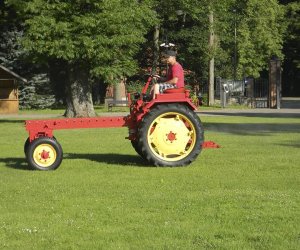 Wyglądają przepięknie Wyglądają przepięknie