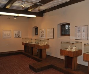 Odnowiona ekspozycja Muzeum Weterynarii Odnowiona ekspozycja Muzeum Weterynarii