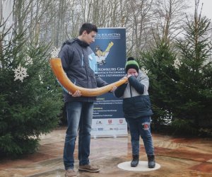 Ligawki 2017 - fotorelacja