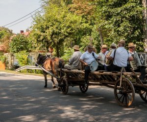 Święto Chleba po raz trzynasty Święto Chleba po raz trzynasty
