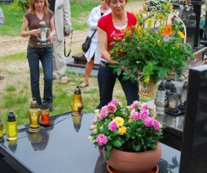 Rośliny lecznicze w kulturze, nauce i sztuce, Rośliny lecznicze w kulturze, nauce i sztuce,