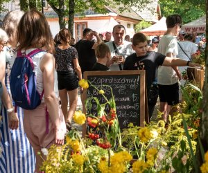 XXI Podlaskie Święto Chleba - fotorelacja XXI Podlaskie Święto Chleba - fotorelacja