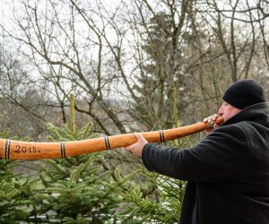 Galeria z 5 grudnia 2015 Galeria z 5 grudnia 2015