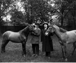 NIECOdziennik Muzealny Mieszkańcy Muzeum – Konik polski NIECOdziennik Muzealny Mieszkańcy Muzeum – Konik polski
