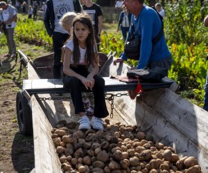 „Jesień w polu i zagrodzie” 2023 r. - fotorelacja i podsumowanie „Jesień w polu i zagrodzie” 2023 r. - fotorelacja i podsumowanie