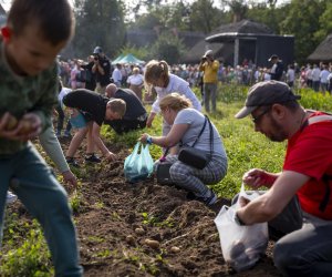 „Jesień w polu i zagrodzie” 2023 r. - fotorelacja i podsumowanie „Jesień w polu i zagrodzie” 2023 r. - fotorelacja i podsumowanie
