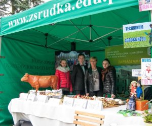 Jarmark św. Wojciecha 2016 Jarmark św. Wojciecha 2016