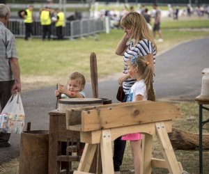 Piknik "Poznaj Zdrową Żywność" - fotorelacja