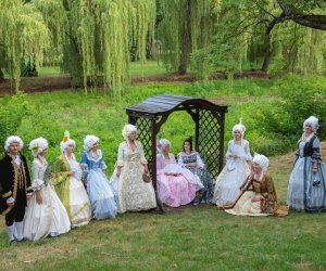 XI Zajazd Wysokomazowiecki - fotorelacja XI Zajazd Wysokomazowiecki - fotorelacja