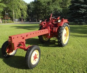 Wyglądają przepięknie Wyglądają przepięknie