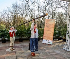 Galeria z 5 grudnia 2015 Galeria z 5 grudnia 2015