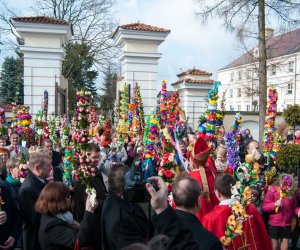 Galeria - Niedziela Palmowa 2015 Galeria - Niedziela Palmowa 2015