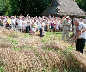 X PODLASKIE ŚWIĘTO CHLEBA