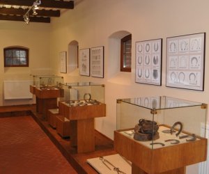 Odnowiona ekspozycja Muzeum Weterynarii Odnowiona ekspozycja Muzeum Weterynarii