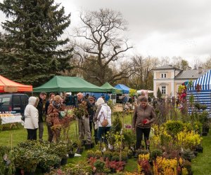 Codziennik Muzealny - Jarmark św. Wojciecha Codziennik Muzealny - Jarmark św. Wojciecha